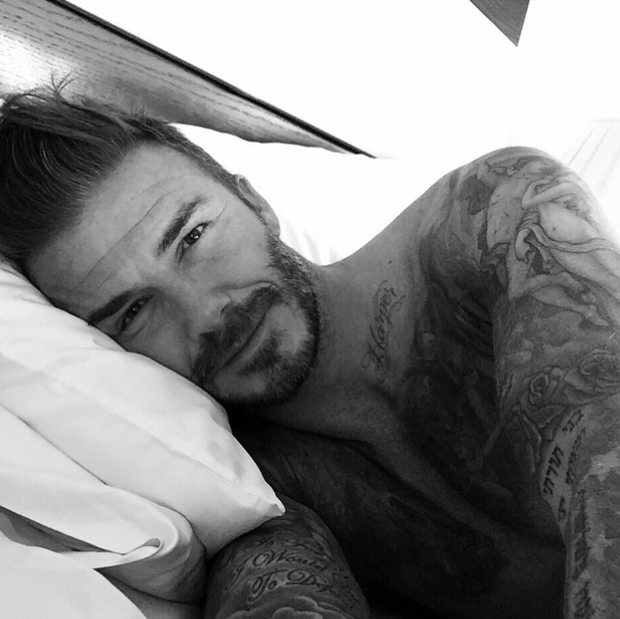 vbecks[1]