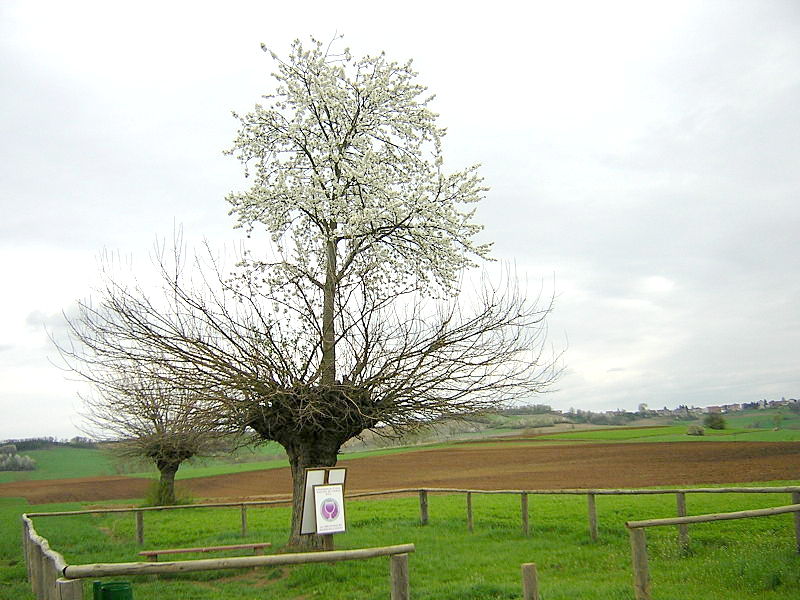1046707_original1