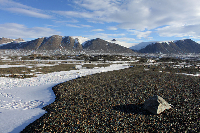 antarctica-dessert-race1