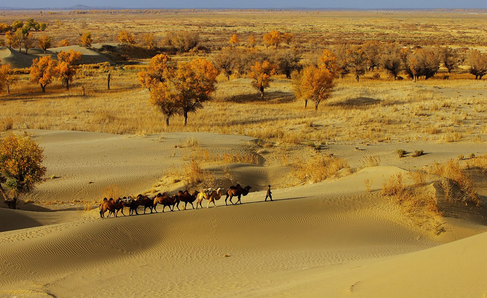 takla-makan-desert1